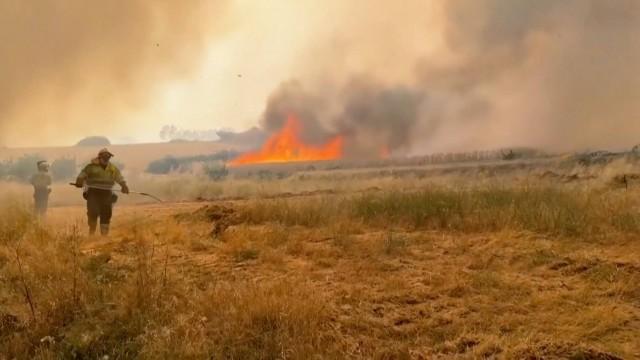 Europa: Waldbrände sind kaum zu stoppen