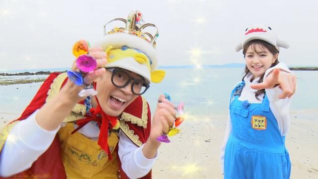 ウミウシの仲間たち