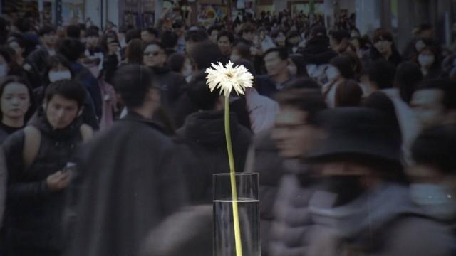 わたし、【終活】しています。