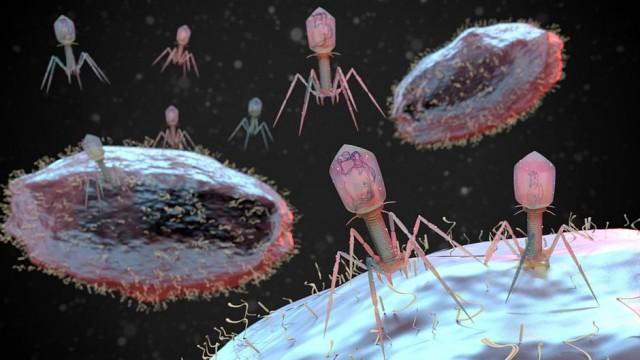 Is a Superbug Pandemic Coming?