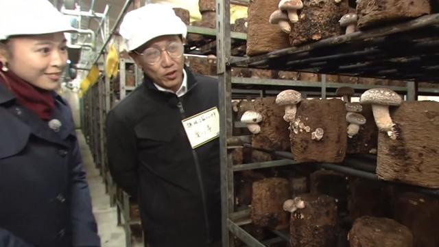 秋の茨城 超穴場スポット発見!/マイナ保険証使ってますか?