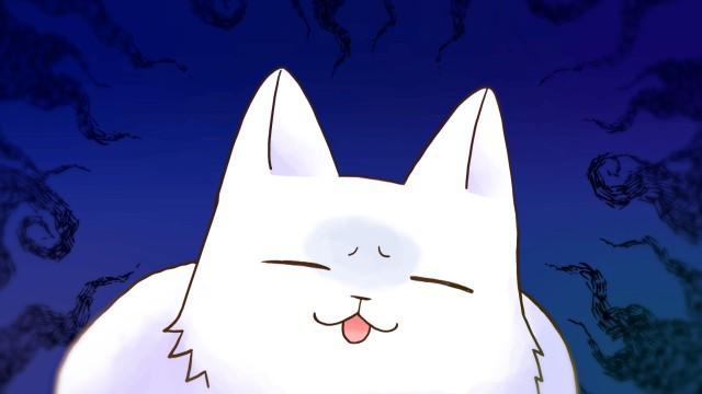 Cat Door-to-Door Sales