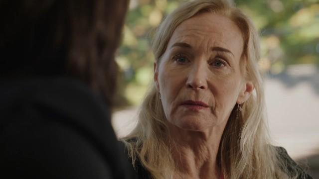 La mérule : ce champignon qui mange des maisons