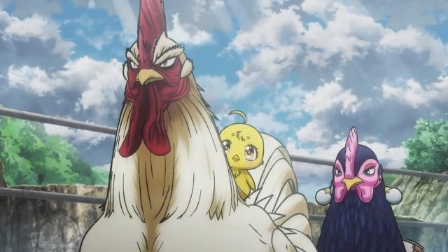 Built Like a Brick Coop