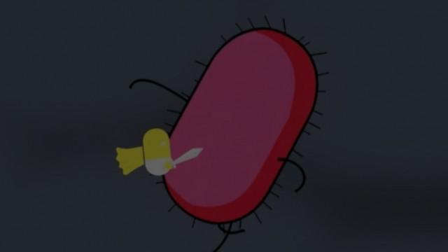 Antibiotiques : attention à l'overdose !