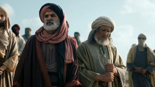 الخنساء: ظل الأشهب