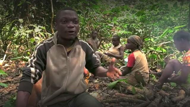 Cameroun : la terreur verte