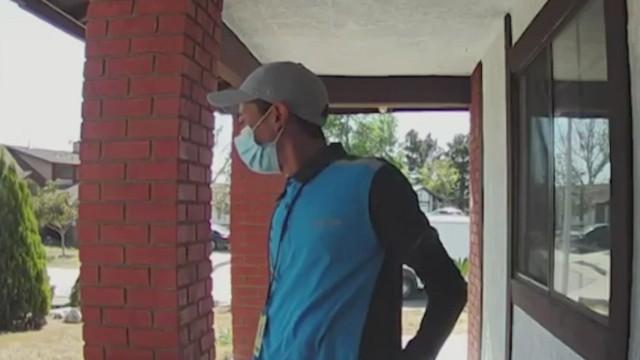 Flightless and Furious