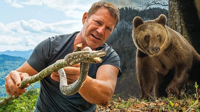 Bears and Vipers in Slovenia