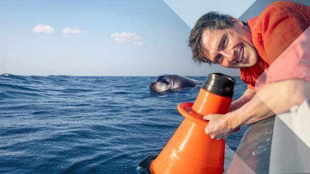 Faszination Wasser (12): Unser Mittelmeer – Was lebt unter der Oberfläche?