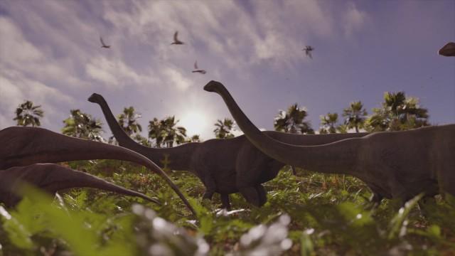 Mystery Of The Dinosaurs