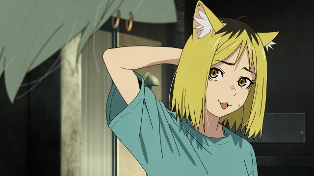 ニャーの後輩たちにゃ