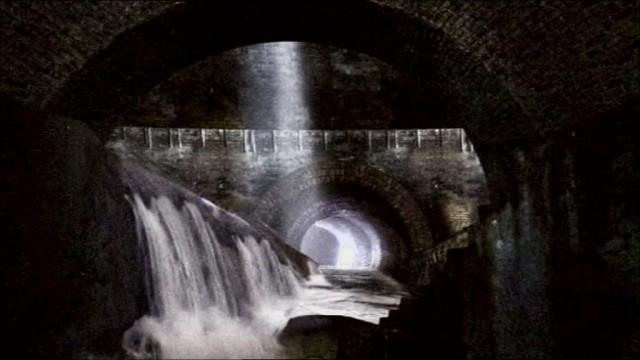 The Sewer King
