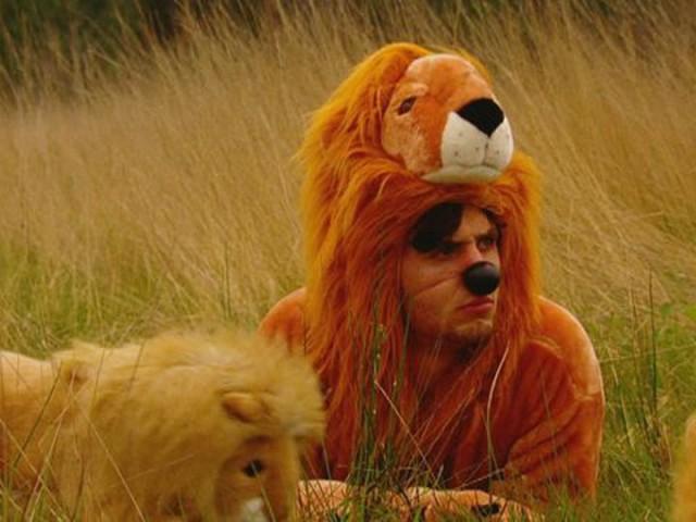 Wildlife