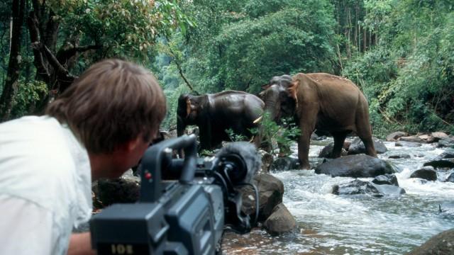 Vietnams letzte Nashörner - Suche nach einem Phantom