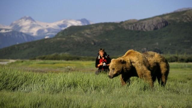 Der Bärenmann - Vater und Sohn unter Grizzlys in Alaska
