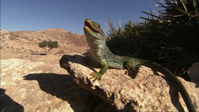 Andalusien - Land zwischen Himmel und Hölle