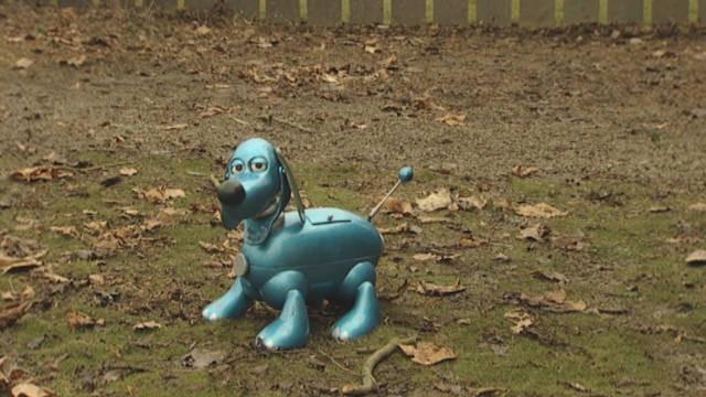 Distinguished visitors