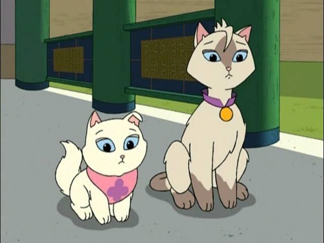 Fur Cut / Magistrate Loses His Post