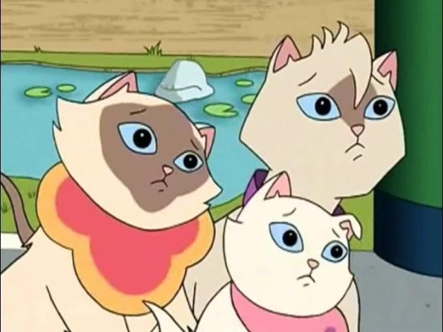 Treasure Hunters / By the Light of the Moon