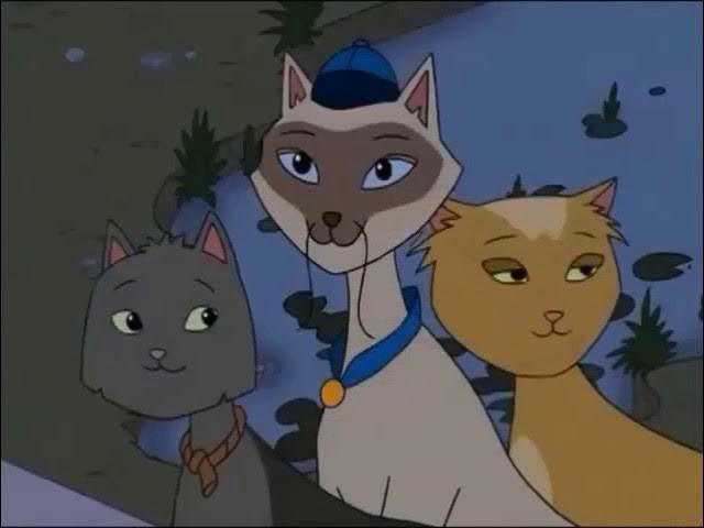 Alley Night Opera / Cats of a Different Class