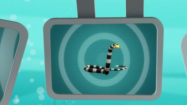 Creature Reports: The Sea Snakes