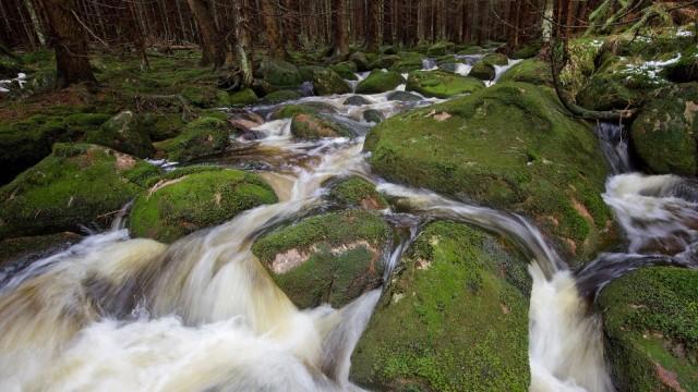 Der Harz (2): Felsenreich und Wasserwelten