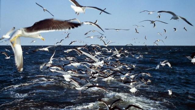 Ostfriesland - Sieben Inseln und ein Meer