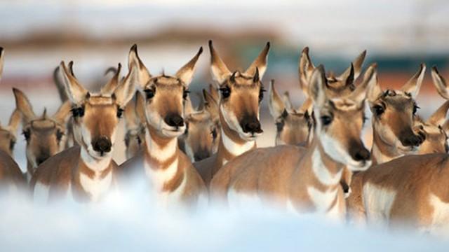 Die großen Wanderungen 1/3 - Der Sonne hinterher