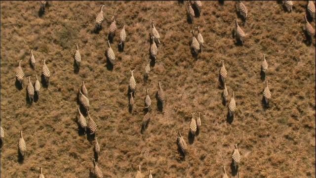 Die großen Wanderungen 3/3 - Unterwegs ins Paradies