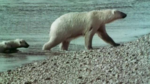 50 Jahre - Pannen, Preise und Premieren