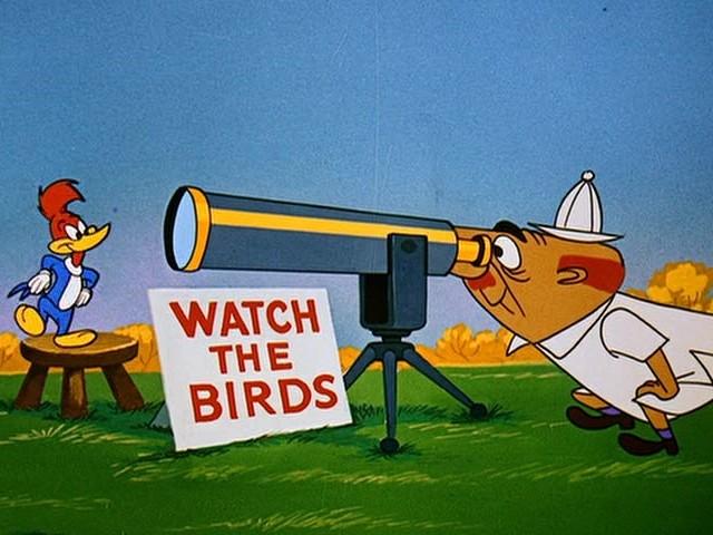 Watch the Birdie