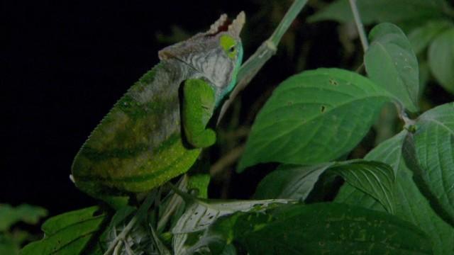 Madagaskars verstecktes Paradies - Makay