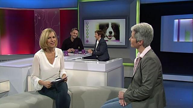 Das Geschäft mit den Haustieren