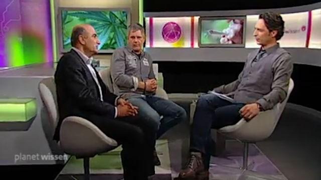 Cannabis – Droge oder Medizin?