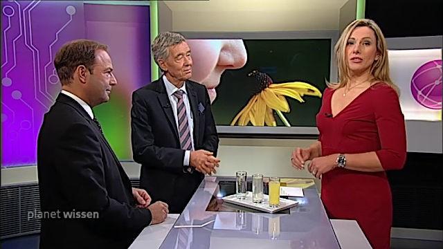 Wie das Riechen unser Leben beeinflusst