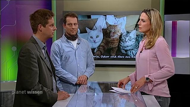 Katzen – geliebt und gejagt