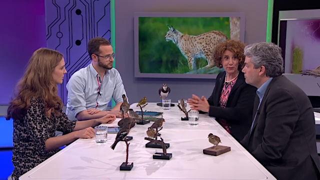 Öko-Detektive – Umweltverbrechern auf der Spur