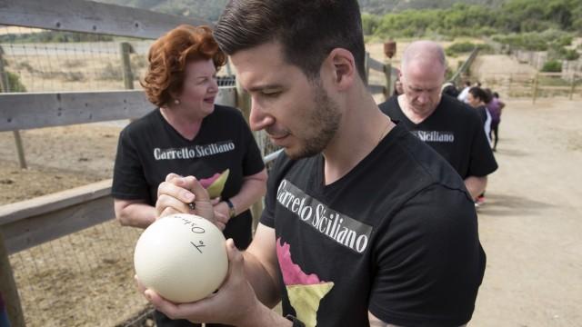 Family Face-Off: An Egg-cellent Adventure