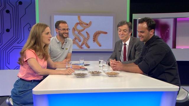 Maden, Algen, Erythrit – unser Essen der Zukunft?