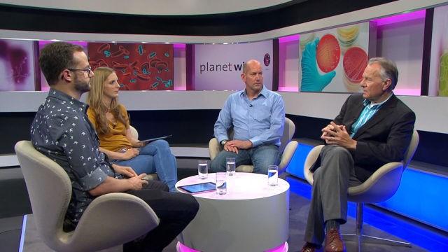 Blutvergiftung – warum sie so gefährlich ist