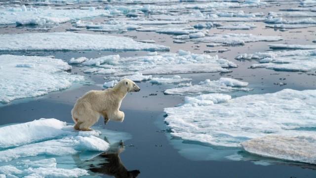 Auf Leben und Tod (4) - Die Arktis
