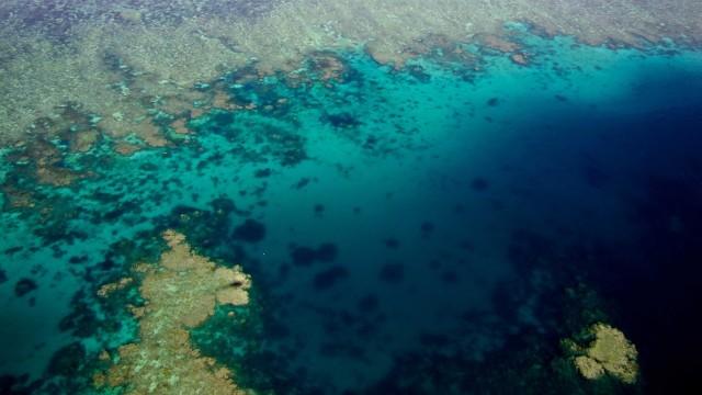 Das Great Barrier Reef (1/3): Naturwunder der Superlative