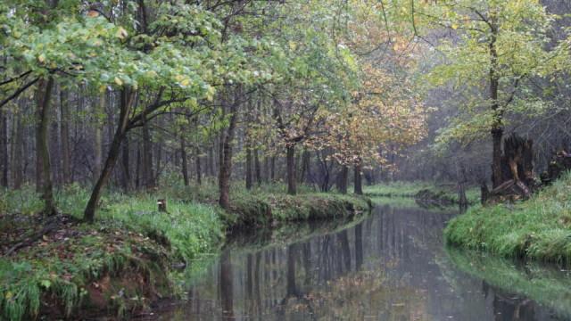 Wildes Deutschland - Der Spreewald
