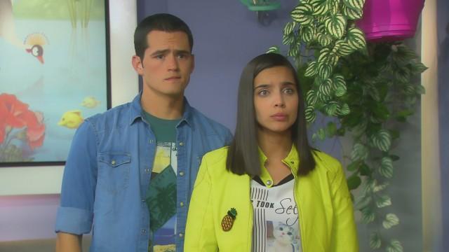 Los defectos de Franky