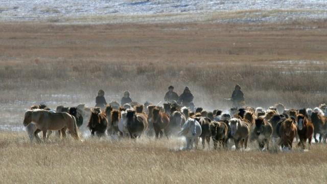 Mythos Amur (2): Durch die Mongolei