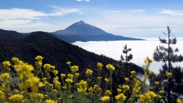 Die Kanarischen Inseln (1) Nebelwald und Wüsten