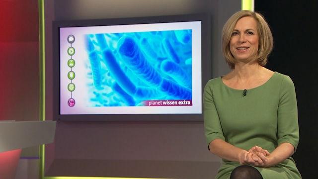 Bakterien – Killerkeime oder Nützlinge (Planet Wissen Extra)