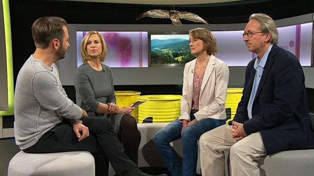 Der ökologische Preis der Energie