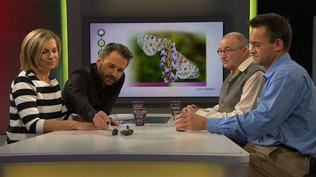 „Jurassic Park“ – Das geologische Erbe der Schwäbischen Alb